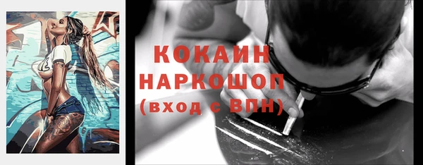 соль ск Богородицк